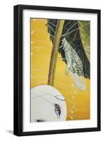 Green Lacewing-null-Framed Giclee Print