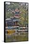 Green Lake Park and its Many Colorful Buildings, Kunming China-Darrell Gulin-Framed Stretched Canvas