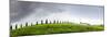 Green landscape with cypress trees and rolling hills, Tuscany, Italy, Europe-Nagy Melinda-Mounted Photographic Print