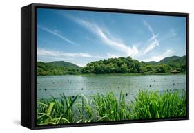 Green Landscape with Lake and Lush Hills in Hangzhou, Zhejiang, China-Andreas Brandl-Framed Stretched Canvas
