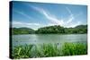 Green Landscape with Lake and Lush Hills in Hangzhou, Zhejiang, China-Andreas Brandl-Stretched Canvas