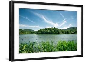 Green Landscape with Lake and Lush Hills in Hangzhou, Zhejiang, China-Andreas Brandl-Framed Photographic Print