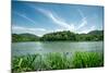Green Landscape with Lake and Lush Hills in Hangzhou, Zhejiang, China-Andreas Brandl-Mounted Photographic Print