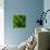 Green Leaf Close up 1-Tom Quartermaine-Giclee Print displayed on a wall