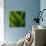 Green Leaf Close up 1-Tom Quartermaine-Giclee Print displayed on a wall