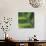 Green Leaf Close up 2-Tom Quartermaine-Giclee Print displayed on a wall