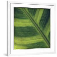 Green Leaf Close up 2-Tom Quartermaine-Framed Giclee Print