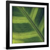 Green Leaf Close up 2-Tom Quartermaine-Framed Giclee Print