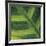 Green Leaf Close up 2-Tom Quartermaine-Framed Giclee Print