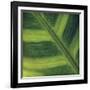 Green Leaf Close up 2-Tom Quartermaine-Framed Giclee Print