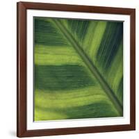 Green Leaf Close up 2-Tom Quartermaine-Framed Giclee Print