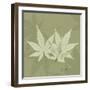 Green Leaf Square 1-Albert Koetsier-Framed Art Print