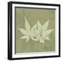 Green Leaf Square 1-Albert Koetsier-Framed Art Print