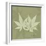 Green Leaf Square 1-Albert Koetsier-Framed Art Print