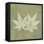 Green Leaf Square 1-Albert Koetsier-Framed Stretched Canvas