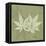 Green Leaf Square 1-Albert Koetsier-Framed Stretched Canvas