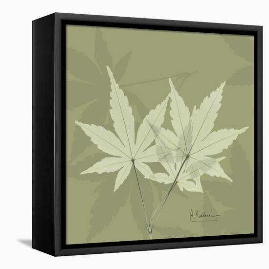 Green Leaf Square 1-Albert Koetsier-Framed Stretched Canvas