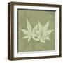 Green Leaf Square 1-Albert Koetsier-Framed Art Print