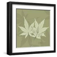 Green Leaf Square 1-Albert Koetsier-Framed Art Print