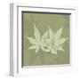 Green Leaf Square 1-Albert Koetsier-Framed Art Print