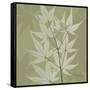 Green Leaf Square 2-Albert Koetsier-Framed Stretched Canvas