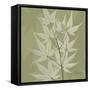 Green Leaf Square 2-Albert Koetsier-Framed Stretched Canvas