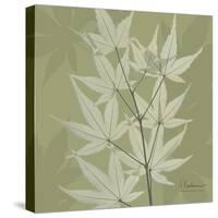 Green Leaf Square 2-Albert Koetsier-Stretched Canvas
