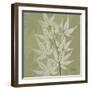 Green Leaf Square 2-Albert Koetsier-Framed Art Print