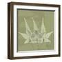 Green Leaf Square 3-Albert Koetsier-Framed Art Print