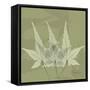 Green Leaf Square 3-Albert Koetsier-Framed Stretched Canvas