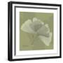 Green Leaf Square 4-Albert Koetsier-Framed Premium Giclee Print