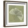 Green Leaf Square 4-Albert Koetsier-Framed Premium Giclee Print