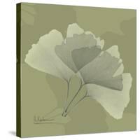 Green Leaf Square 4-Albert Koetsier-Stretched Canvas