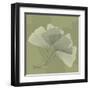 Green Leaf Square 4-Albert Koetsier-Framed Art Print