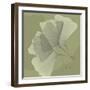 Green Leaf Square 5-Albert Koetsier-Framed Art Print