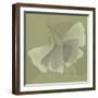 Green Leaf Square 6-Albert Koetsier-Framed Art Print