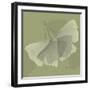 Green Leaf Square 6-Albert Koetsier-Framed Art Print