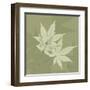 Green Leaf Square 7-Albert Koetsier-Framed Art Print