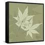 Green Leaf Square 7-Albert Koetsier-Framed Stretched Canvas
