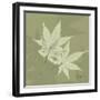 Green Leaf Square 7-Albert Koetsier-Framed Art Print