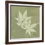 Green Leaf Square 7-Albert Koetsier-Framed Art Print