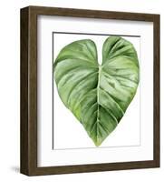 Green Leaf-Ann Solo-Framed Art Print