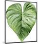 Green Leaf-Ann Solo-Mounted Art Print