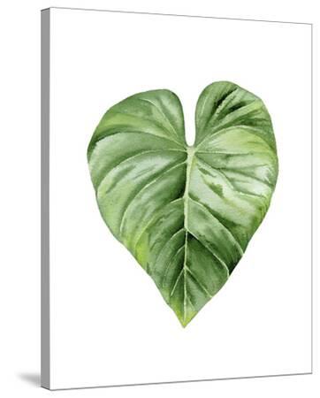 'Green Leaf' Stretched Canvas Print - Ann Solo | AllPosters.com