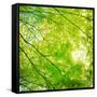 Green Leaves 001-Tom Quartermaine-Framed Stretched Canvas