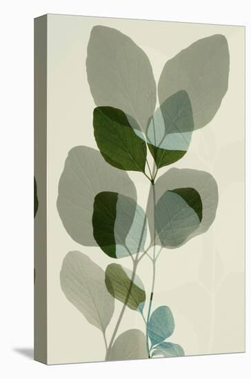Green Leaves 10-Ian Winstanley-Stretched Canvas