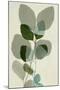 Green Leaves 10-Ian Winstanley-Mounted Art Print