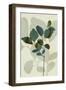 Green Leaves 7-Ian Winstanley-Framed Art Print