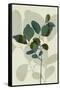 Green Leaves 7-Ian Winstanley-Framed Stretched Canvas