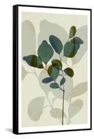 Green Leaves 7-Ian Winstanley-Framed Stretched Canvas